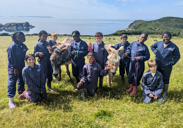 Group of children with donkeys by the coast
