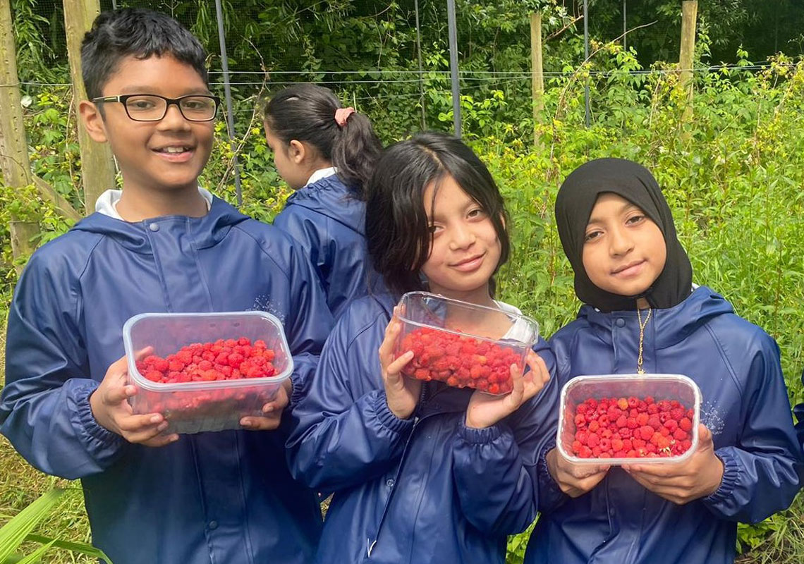 Three children holding pots of raspberries
