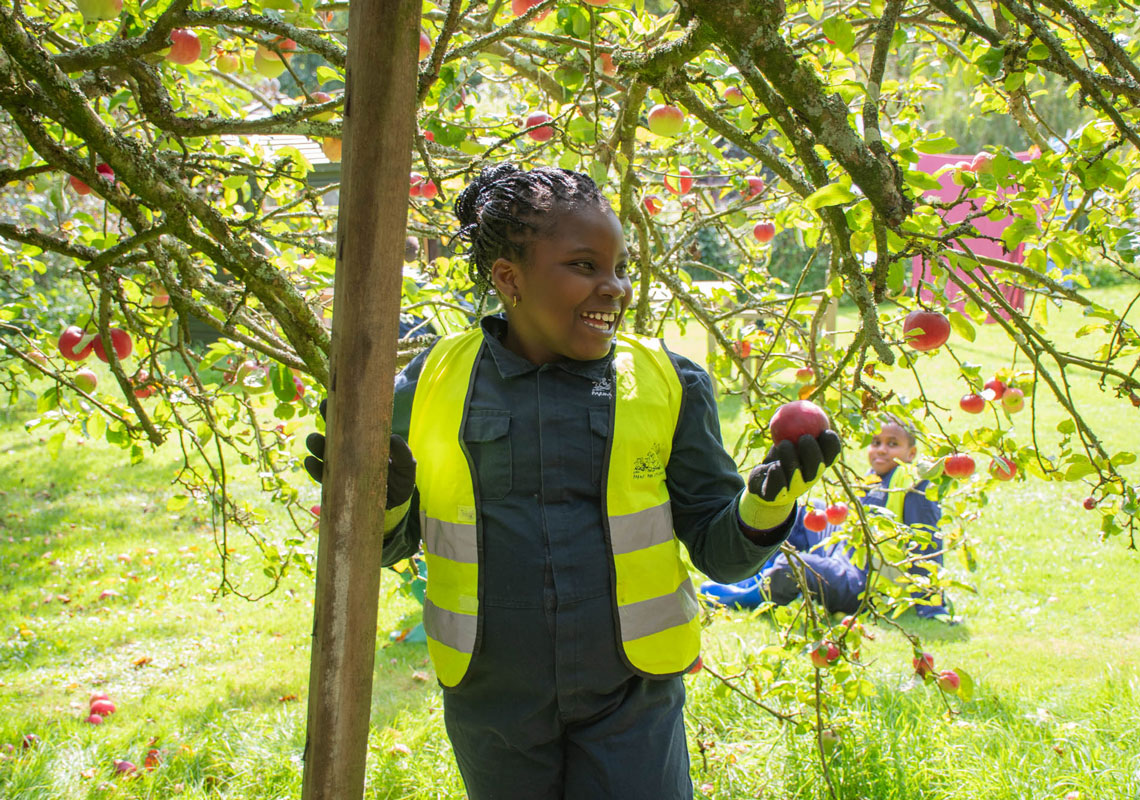 Child standing next to an apple tree holding an apple.