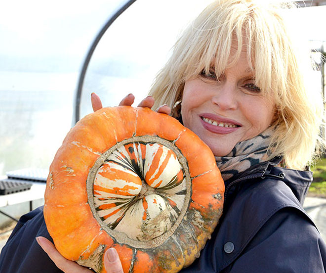 Joanna Lumley Farms for City Children