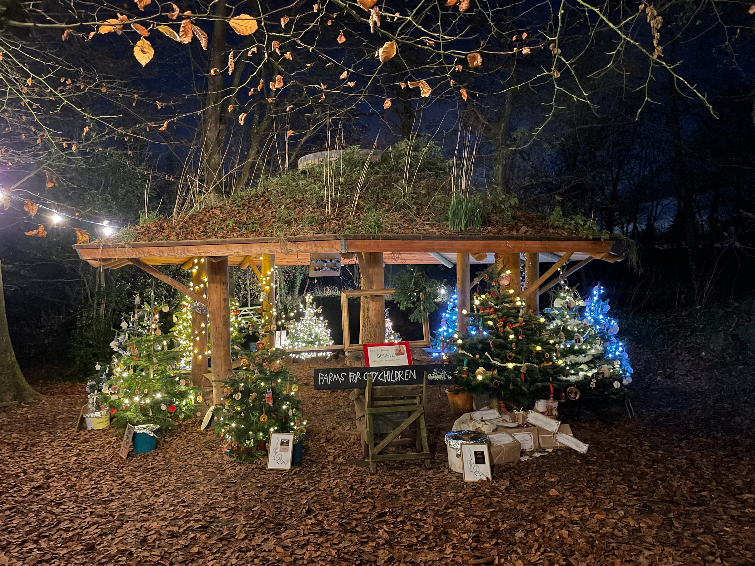 Nethercott House Christmas Tree Festival