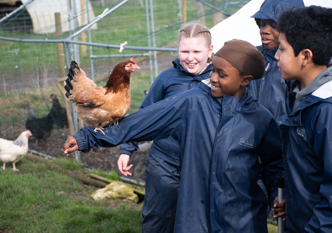 Girl holding chicken on her arm at Wick Court farm